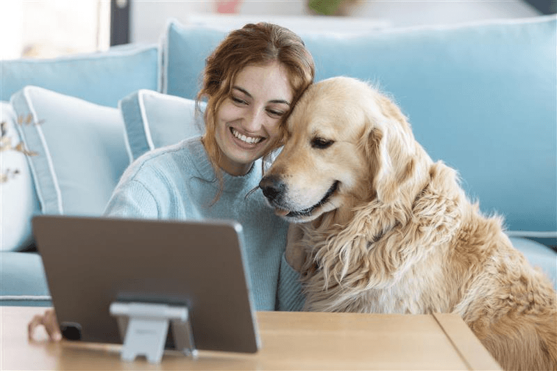 Tutora em videochamada com veterinário enquanto seu cachorro observa feliz